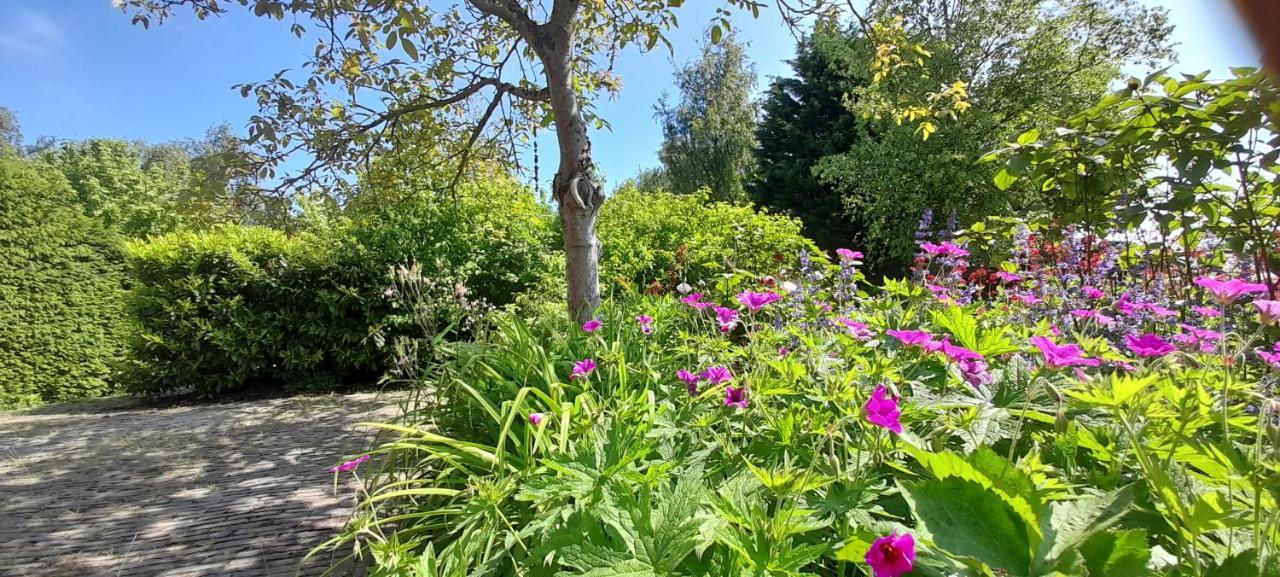 B&B Sonnehuys Nieuwland  Dış mekan fotoğraf